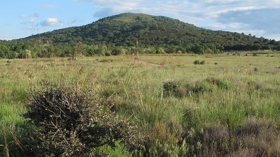 El Ayuntamiento Del Real Sitio Devuelve A El Llano Amarillo La